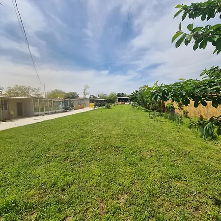 Πανσιόν Pensiunea Atena Vadu