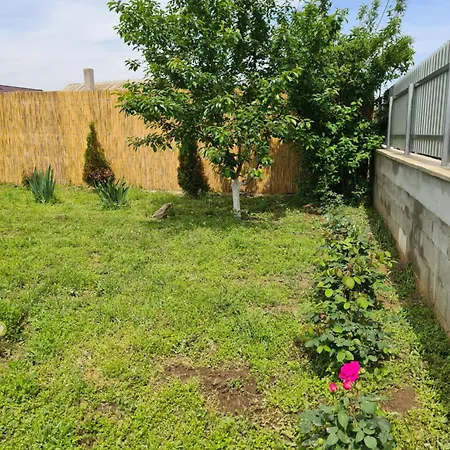 Pensiunea Atena 4* Vadu