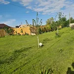 Atena De Vadu