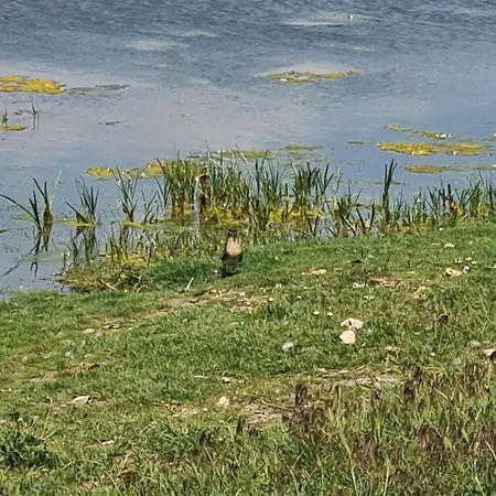 Atena De Πανσιόν 4*