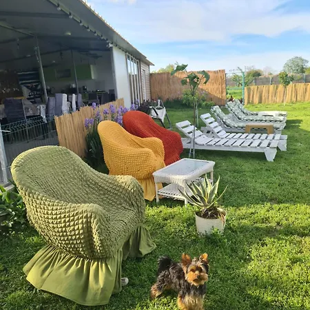 Pensiunea Atena Vendégház Vadu