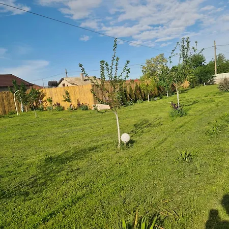 Pensiunea Atena Vadu