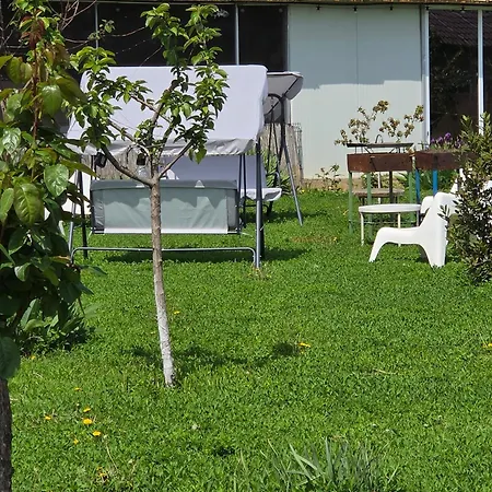 Casa de hóspedes Pensiunea 3*