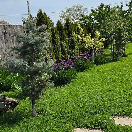 Casa de hóspedes Pensiunea Vadu