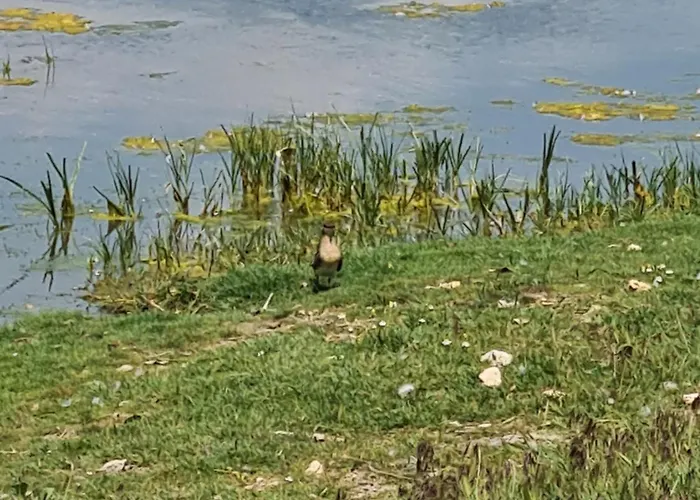 Atena De Πανσιόν 4*