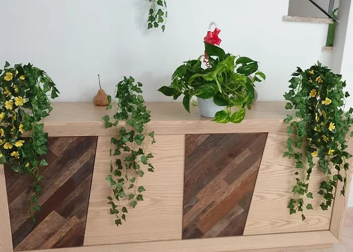 Πανσιόν Atena De