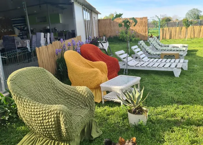 Atena De Konukevi Vadu