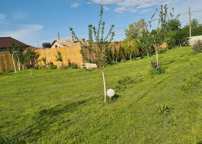 Pensiunea Atena Vadu