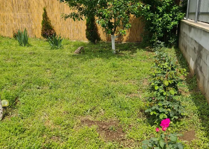 Konukevi Atena De Vadu